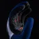 Five Guants TFX4