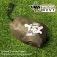 Vass Bivvy Torba waderska
