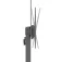 Aisens FT100TE-403 TV-beugel