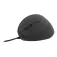 Tnb Souris Mleft2