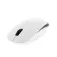 Tnb Mouse wireless MWCANDYBK