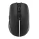 Tnb MWGRADIENTBK wireless mouse