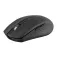 Tnb Mouse wireless MWGRADIENTBK