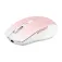Tnb Mouse wireless MWGRADIENTPK