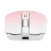 Tnb MWGRADIENTPK wireless mouse