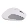 Tnb MWINFINITEPROWH wireless mouse
