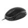 Tnb Wms2U mouse