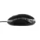 Tnb Wms2U mouse