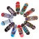 Spin master Ted Pack Individual Refresh 12 Models Random Shipping assorted