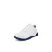 Ecco LT1 golf shoes