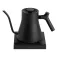 Fellowes Stagg EKG PRO kettle