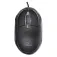 Titanum Tastiera e mouse TK106