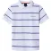 Hackett Stripe kurzarm-poloshirt