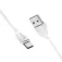 Avant connect Câble USB-A vers USB-C AV1173