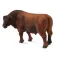 Collecta Toros Angus-Figur