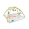 Fisher price 감각을 깨우는 헬스장