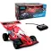 Tachan Cotxe Buggy Teledirigit 1:18