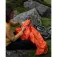 LifeSystems Refugi Survival 1