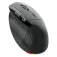 Acer Smart Fit mouse