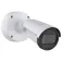 Axis Caméra de surveillance P1485