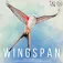 Devir Jeu de société Wingspan