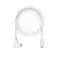 Compulocks Cable USB-A a micro USB 6FTALLUSBC