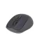 Inca Mouse wireless IWM-201RL