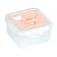 Safta Preschool Lunchbox