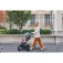 Chicco Goody Xplus stroller