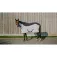 Equitheme Flycool Combo Anti-Fliegendecke