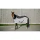 Equitheme Flycool Standard Anti-Fliegendecke