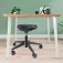 Leitz Ergo Adjustable Stool