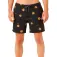 Rip curl Sessions uimashortsit
