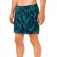 Rip curl Sessions simshorts