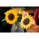 Lego Botanicals 건설 게임 686 조각