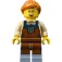 Lego Icons V29 Construction Game