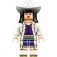 Lego One Piece V29 Construction Game