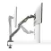 Startech Support d´écran Desk