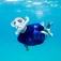 Scubapro Maschera subacquea Zoom Lite