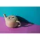 La cafetiere Tetera 1.2L