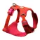 Ruffwear Front Range® Flex Upraw