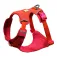 Ruffwear Front Range® Flex Upraw