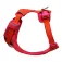 Ruffwear Front Range® Flex Upraw