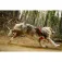 Ruffwear Front Range® Flex Upraw