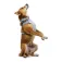 Ruffwear Collar per a gos Front Range™ Flex