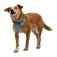 Ruffwear Collar per a gos Front Range™ Flex