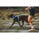 Ruffwear Collar para perro Front Range™ Flex