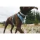 Ruffwear Collar para perro Front Range™ Flex