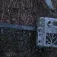 Zeiss Cinta per a arbre Secacam