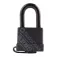 Zeiss Sesacam padlock